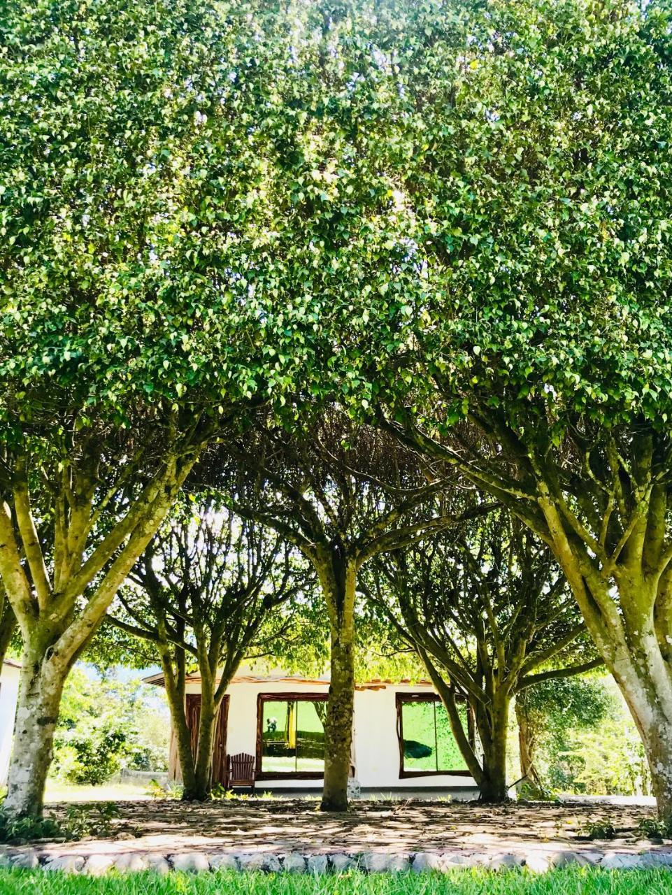 Hosteria Tierra Dorada Yantzaza Luaran gambar