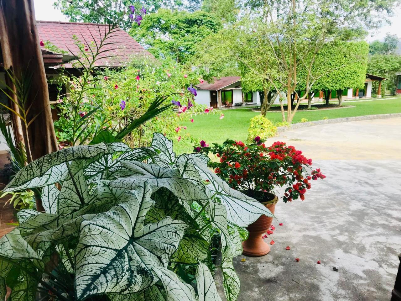 Hosteria Tierra Dorada Yantzaza Luaran gambar